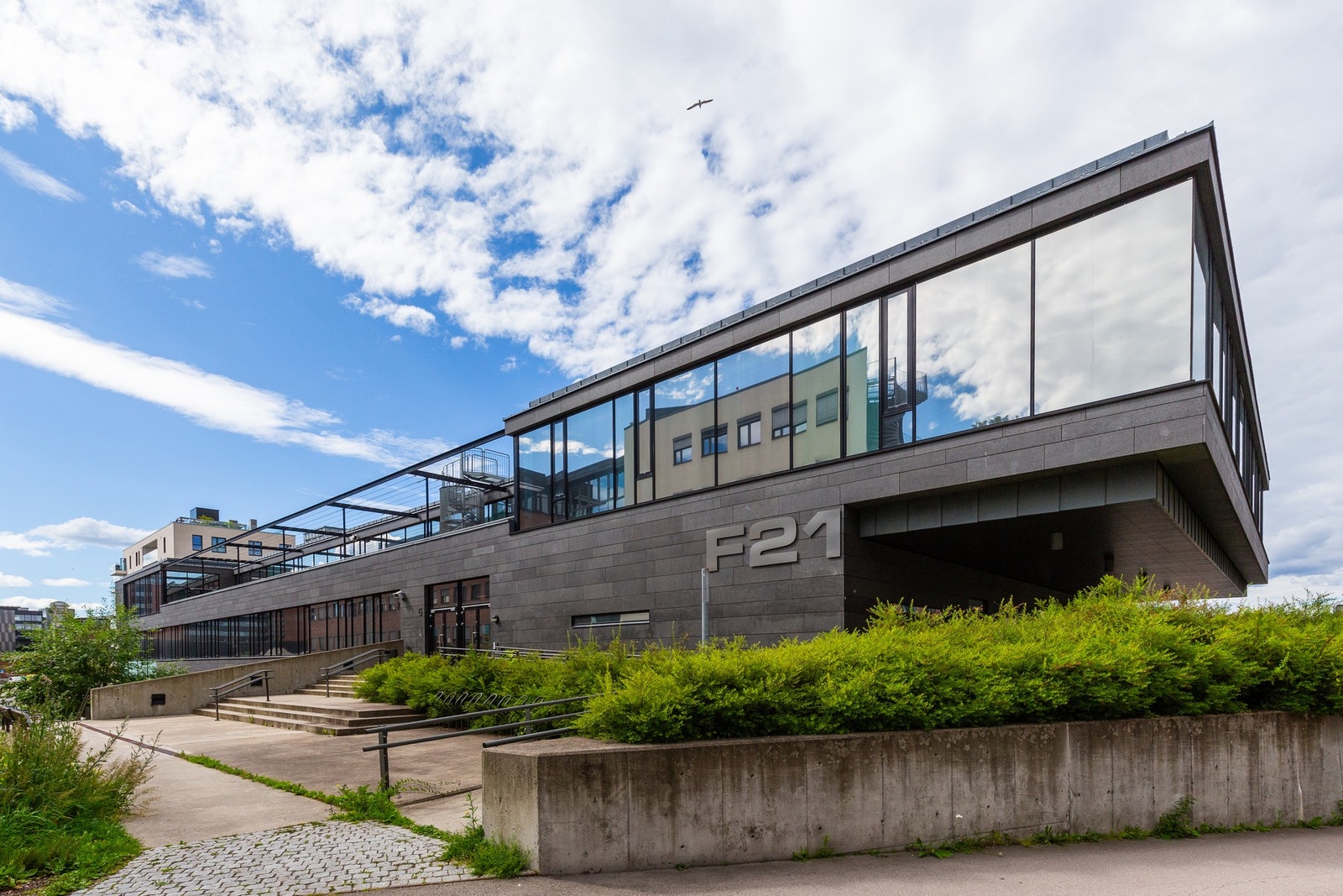 Nærområde. Galleribilde