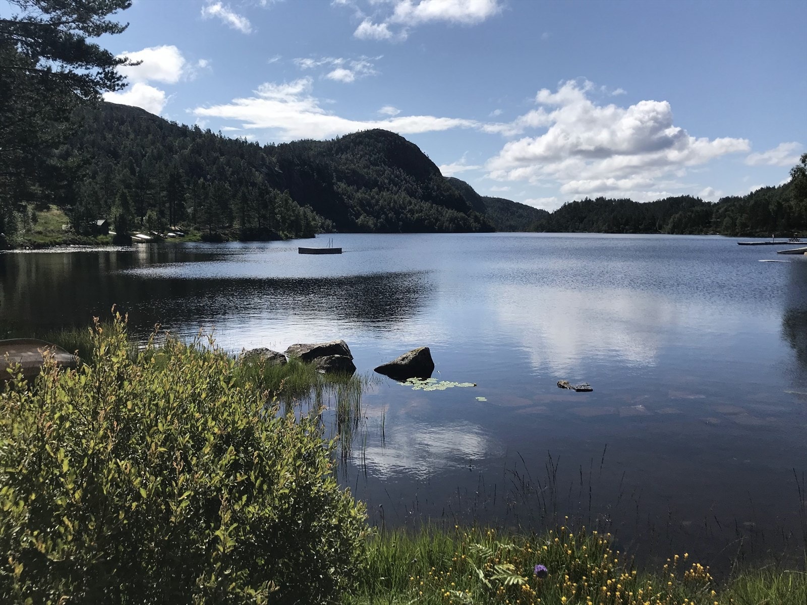 Nærområde Galleribilde