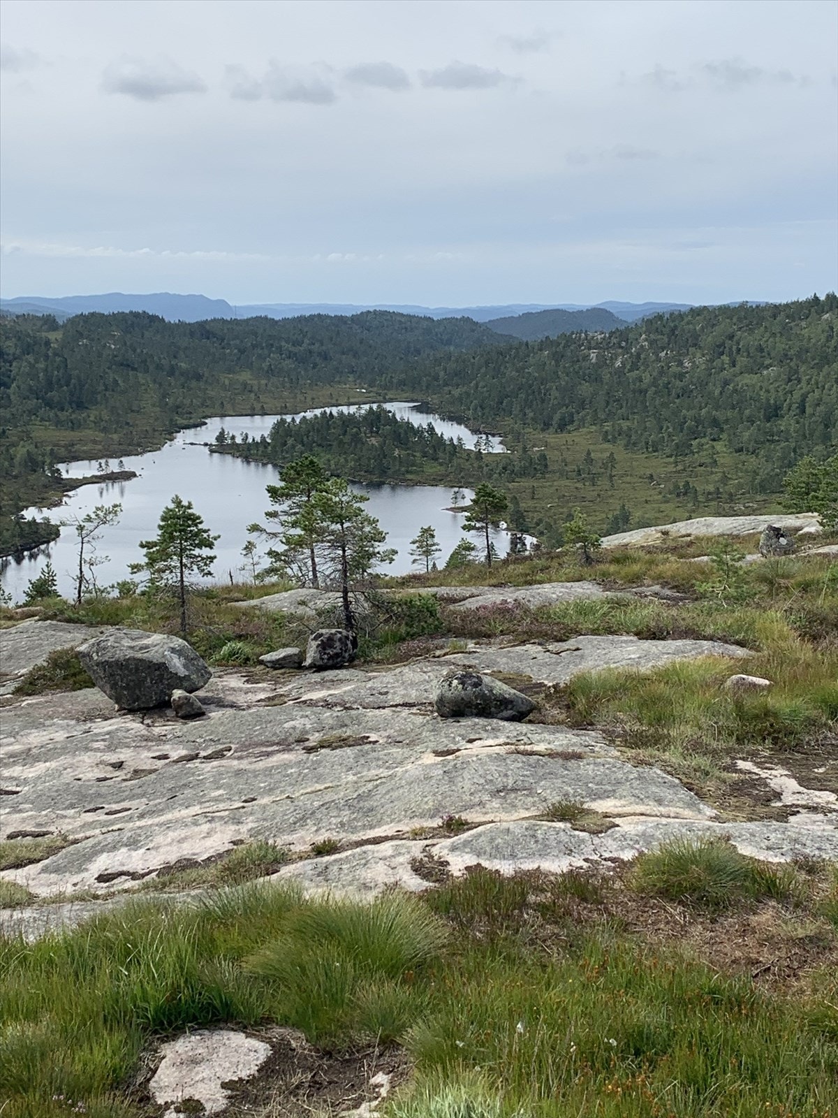 Fantastisk natur i nærområdet med nydelig utsikt over innsjø og skogkledde åser. Galleribilde