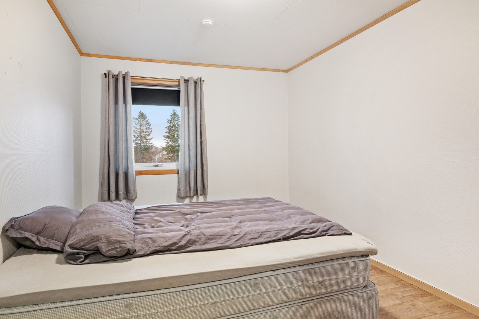 Soverom. Galleribilde