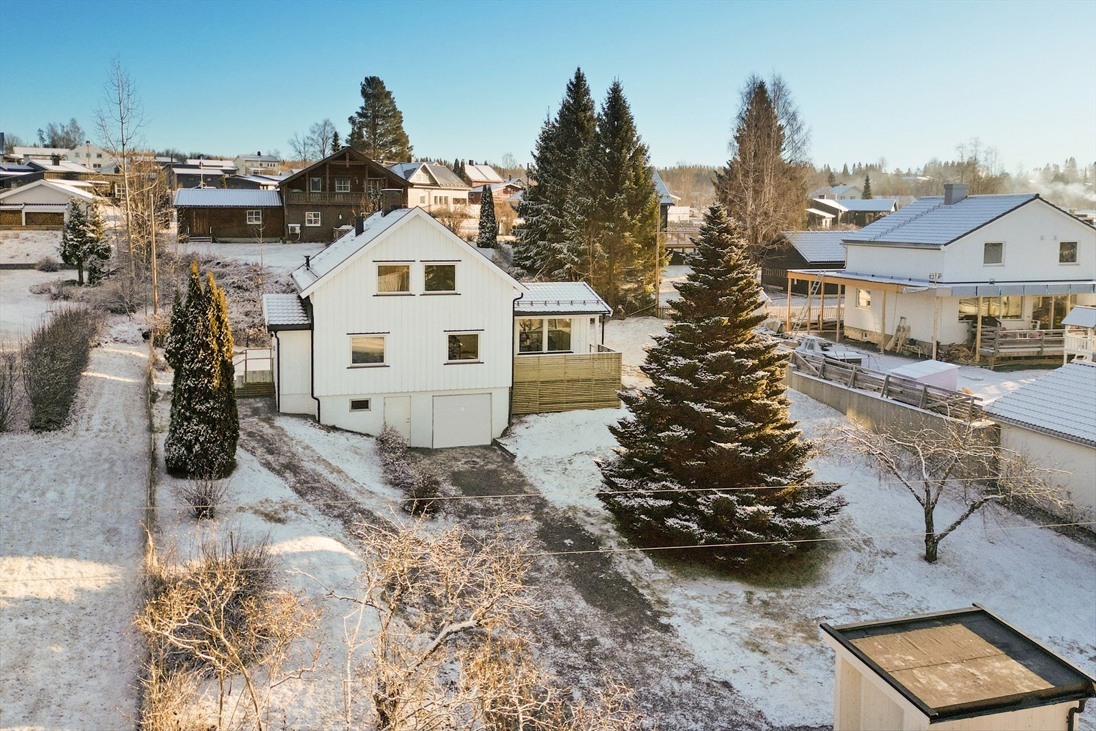 Tomt med plen og beplantning. Galleribilde