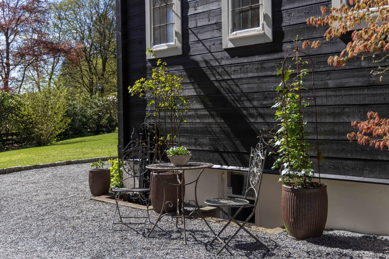 Et yndet sted å drikke morgenkaffen mens solen skinner mellom bladene til den store blodbøken. Galleribilde