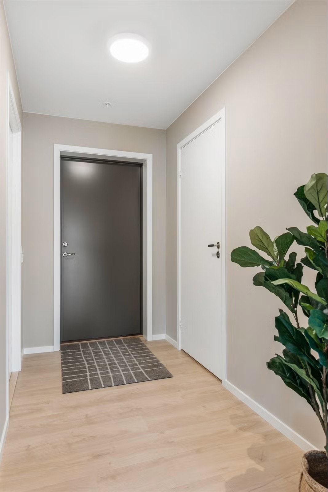 Leilighet 2 Galleribilde