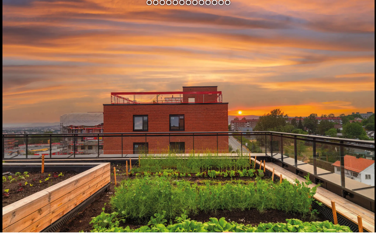 Takterrassen har også grønnsakshage man kan benytte seg av. Foto: Obos Galleribilde