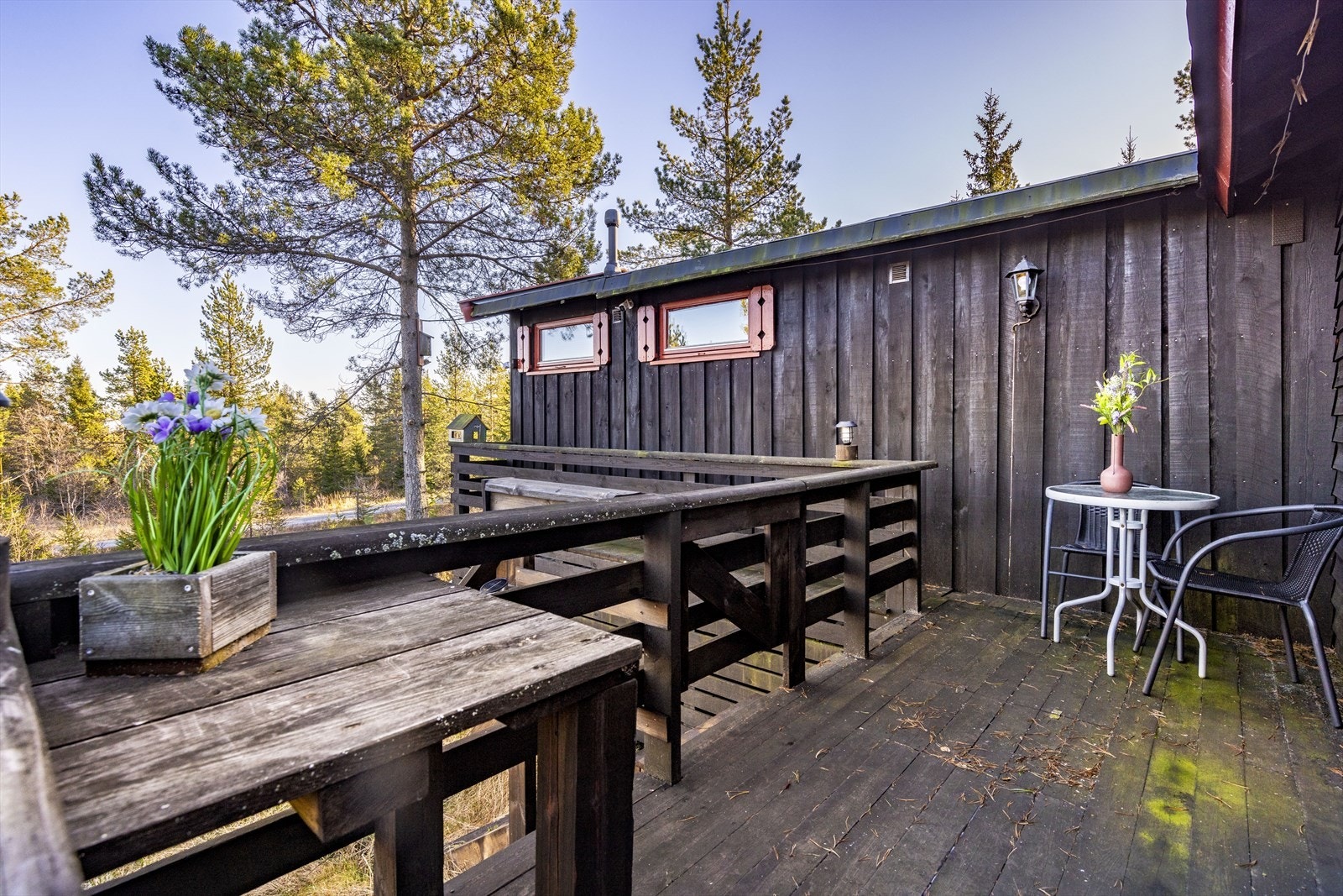 Østvendt terrasse med direkte utgang fra kjøkkenet Galleribilde