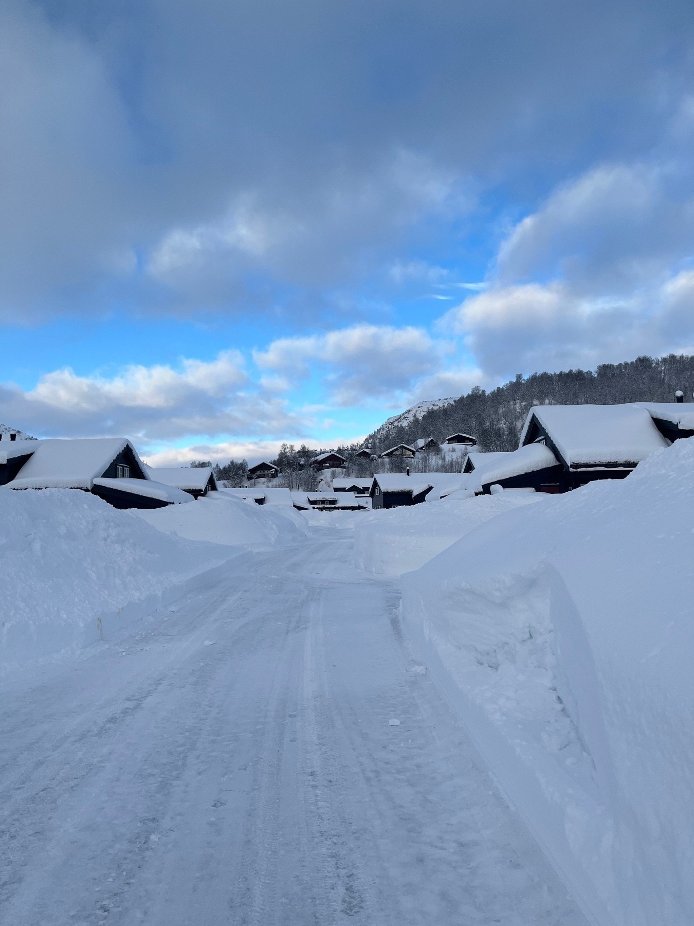 Selgers private bilder fra en fin vinterdag. Galleribilde