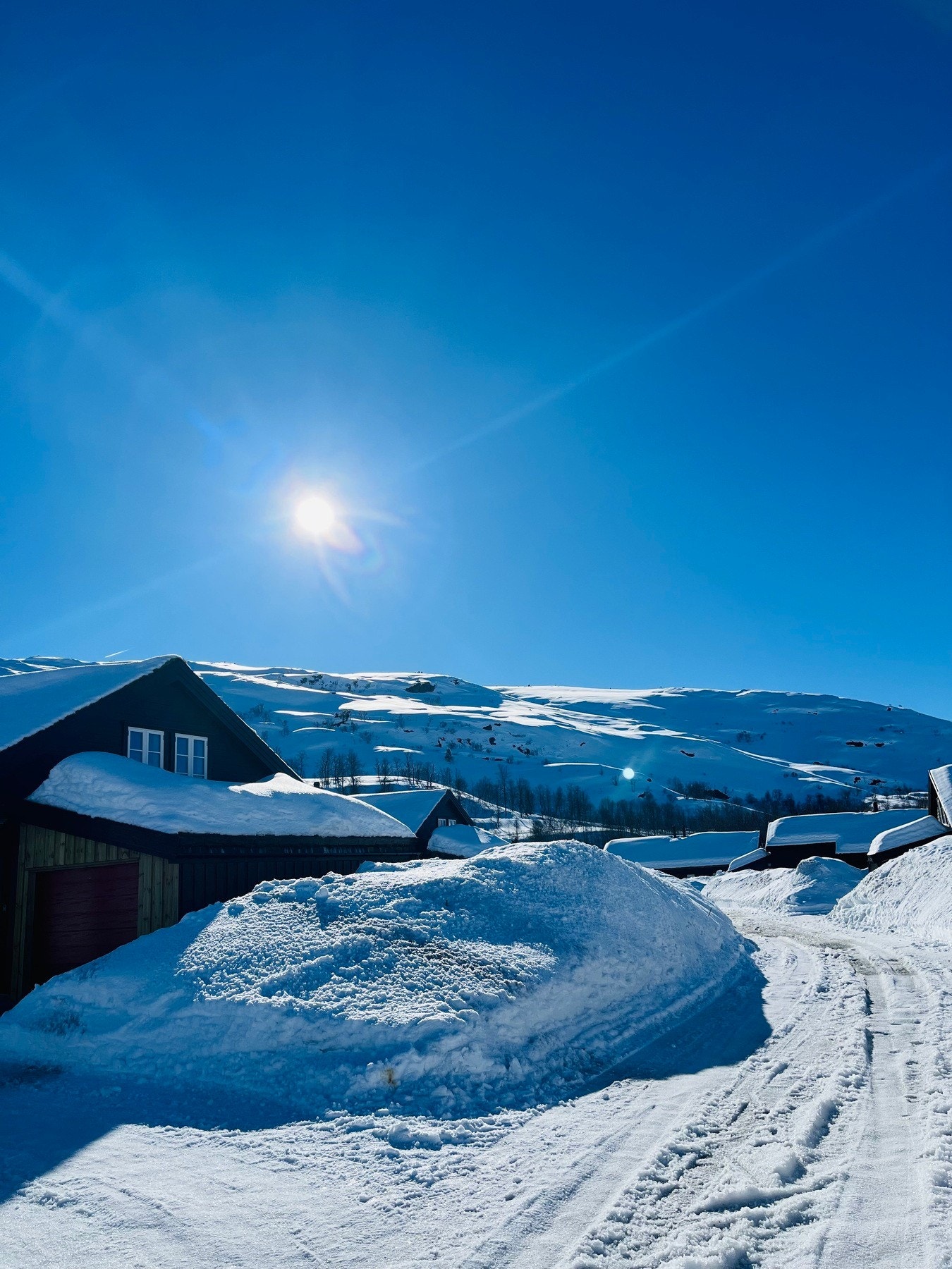 Selgers private bilder fra en fin vinterdag. Galleribilde