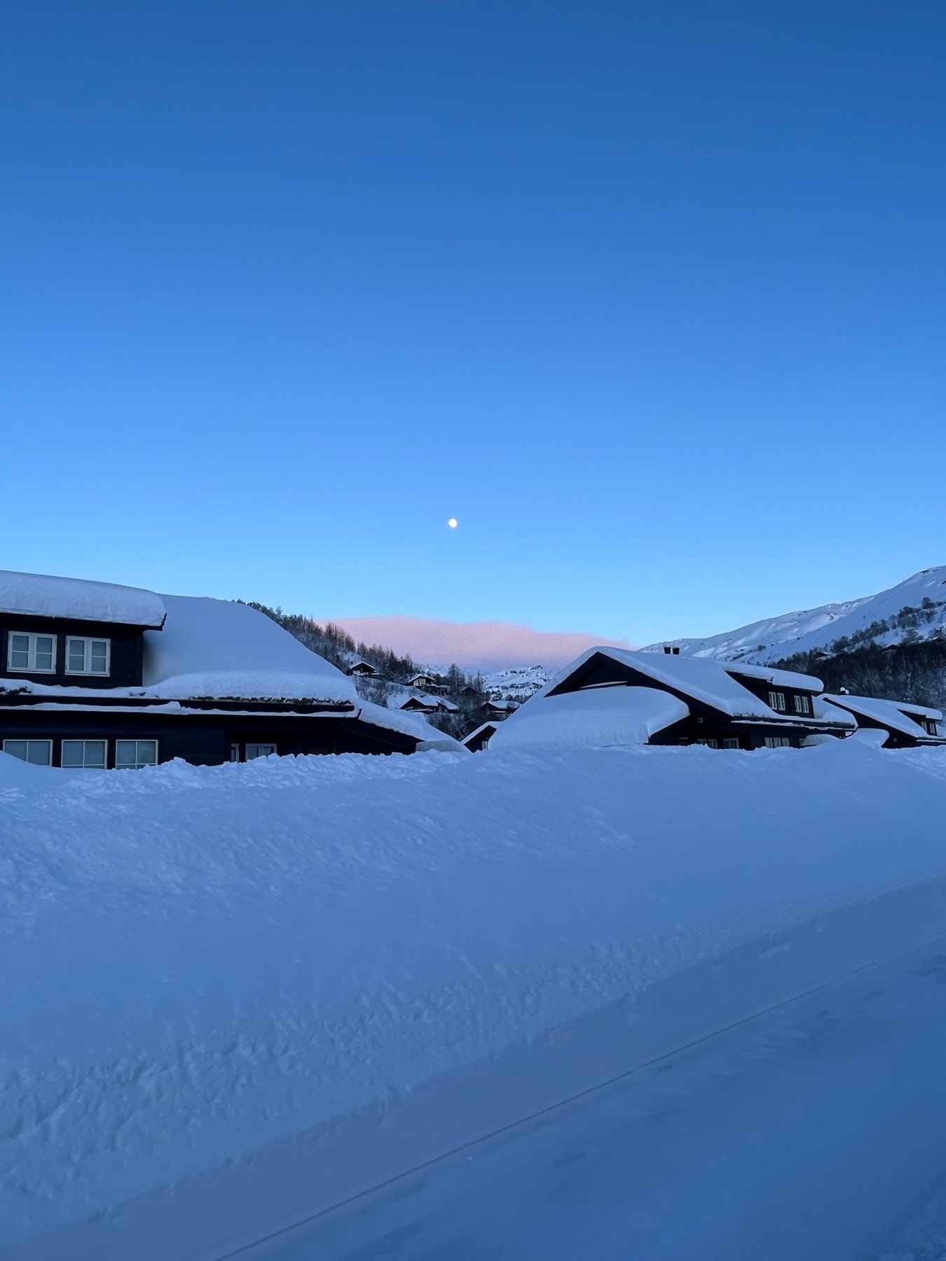 Selgers private bilder fra en fin vinterdag. Galleribilde