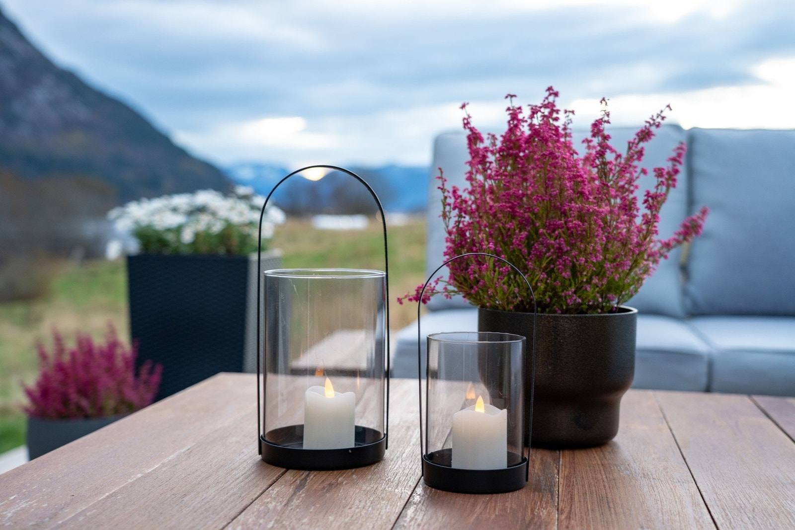 Selgers bilde Galleribilde