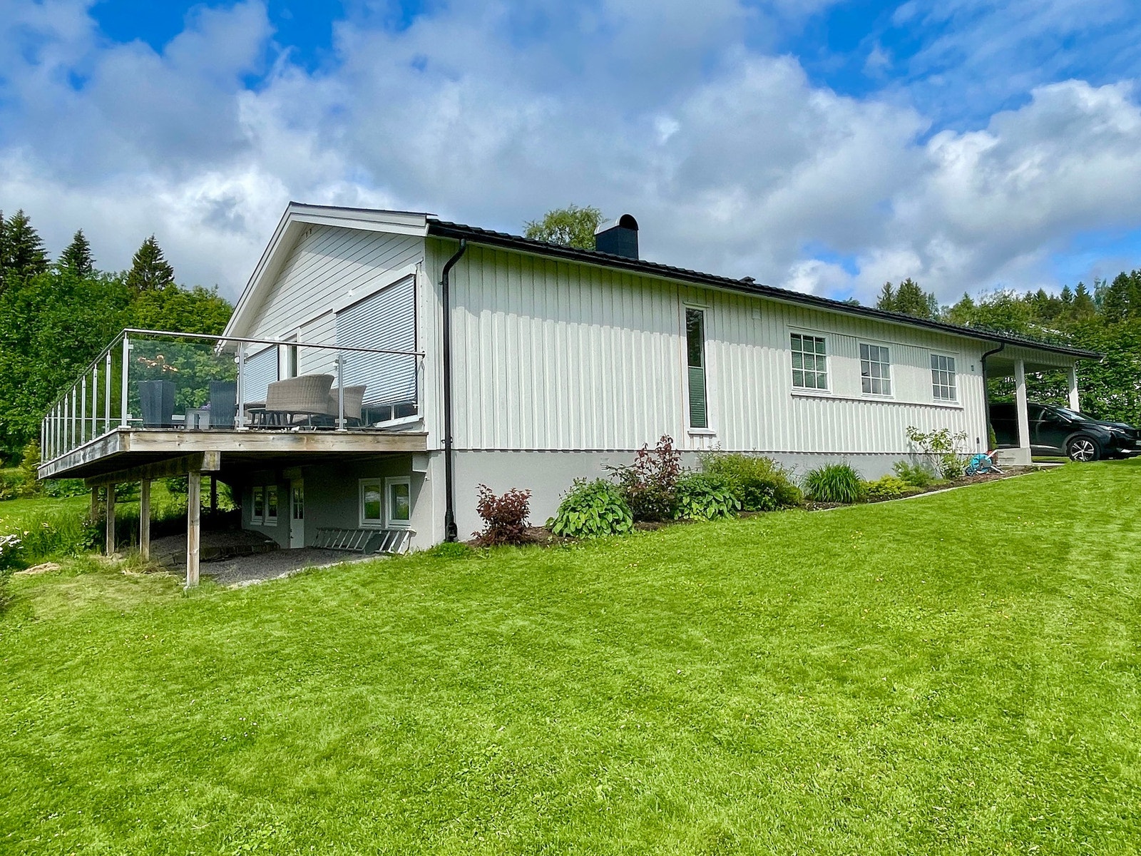 Selgers sommerbilde. Galleribilde