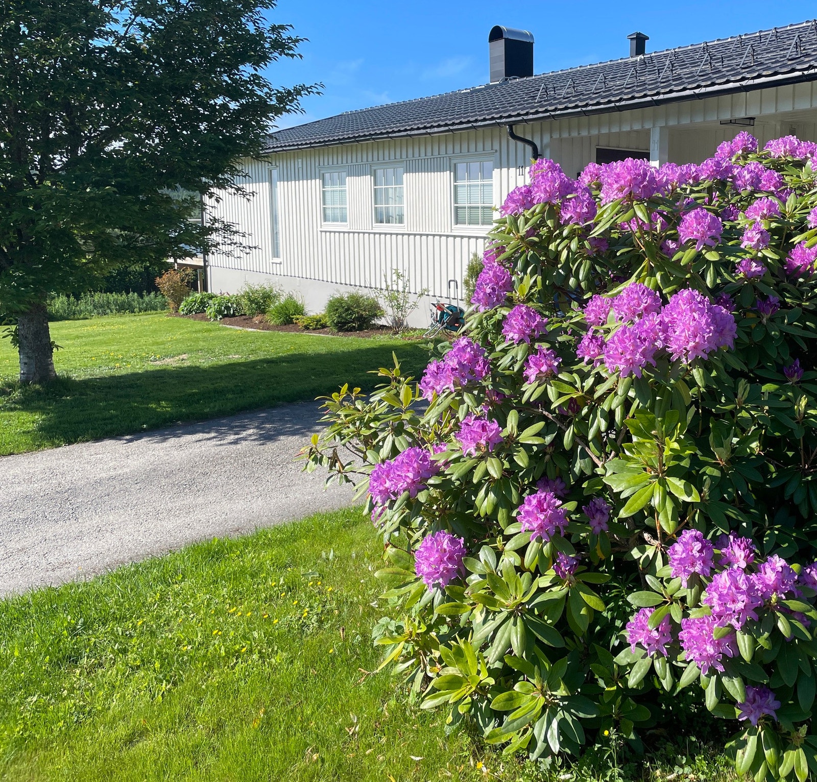 Tomten fremstår nærmest parkmessig opparbeidet. Galleribilde