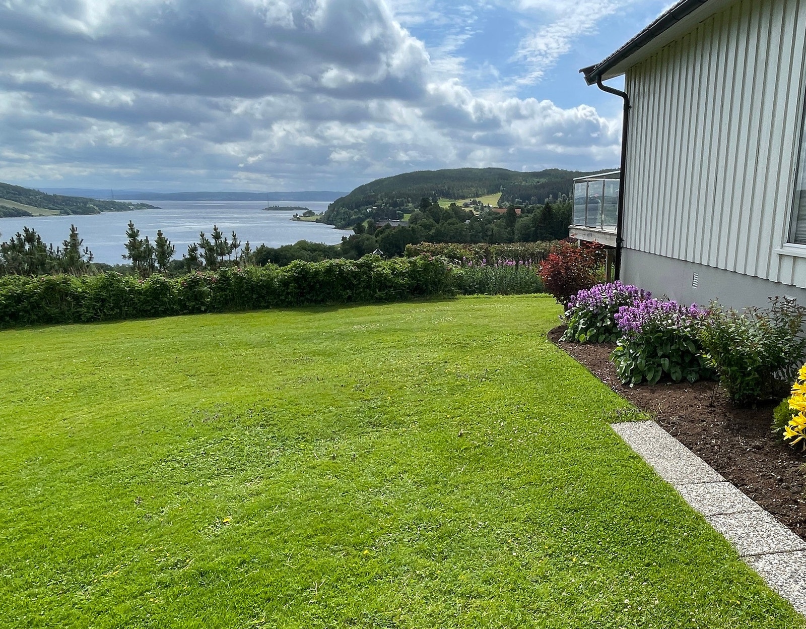 Selgers sommerbilde. Galleribilde