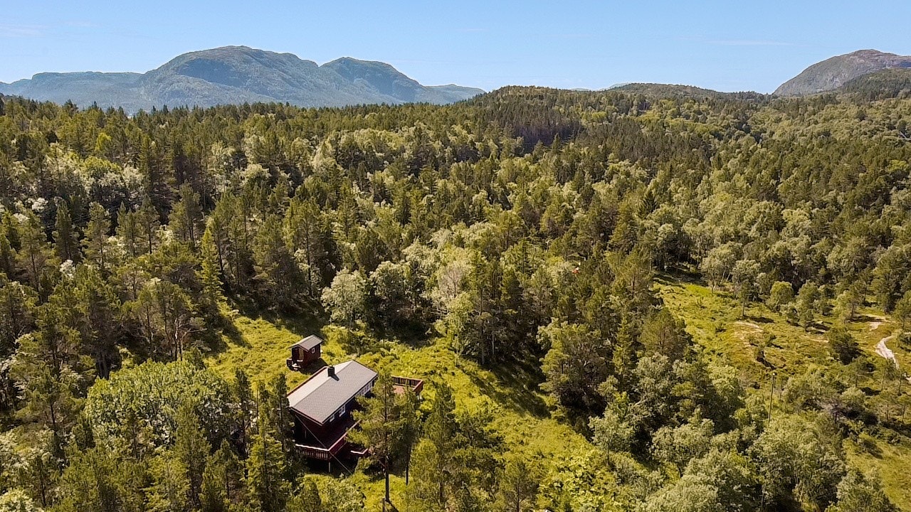 Boligen er omgitt av skog som gir privatliv og ro. Galleribilde