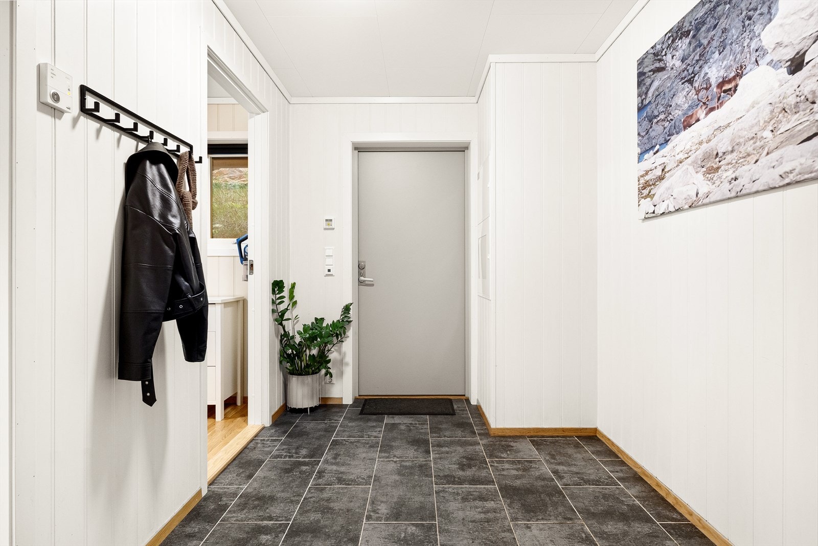 - Velkommen til ditt nye hjem! - Galleribilde