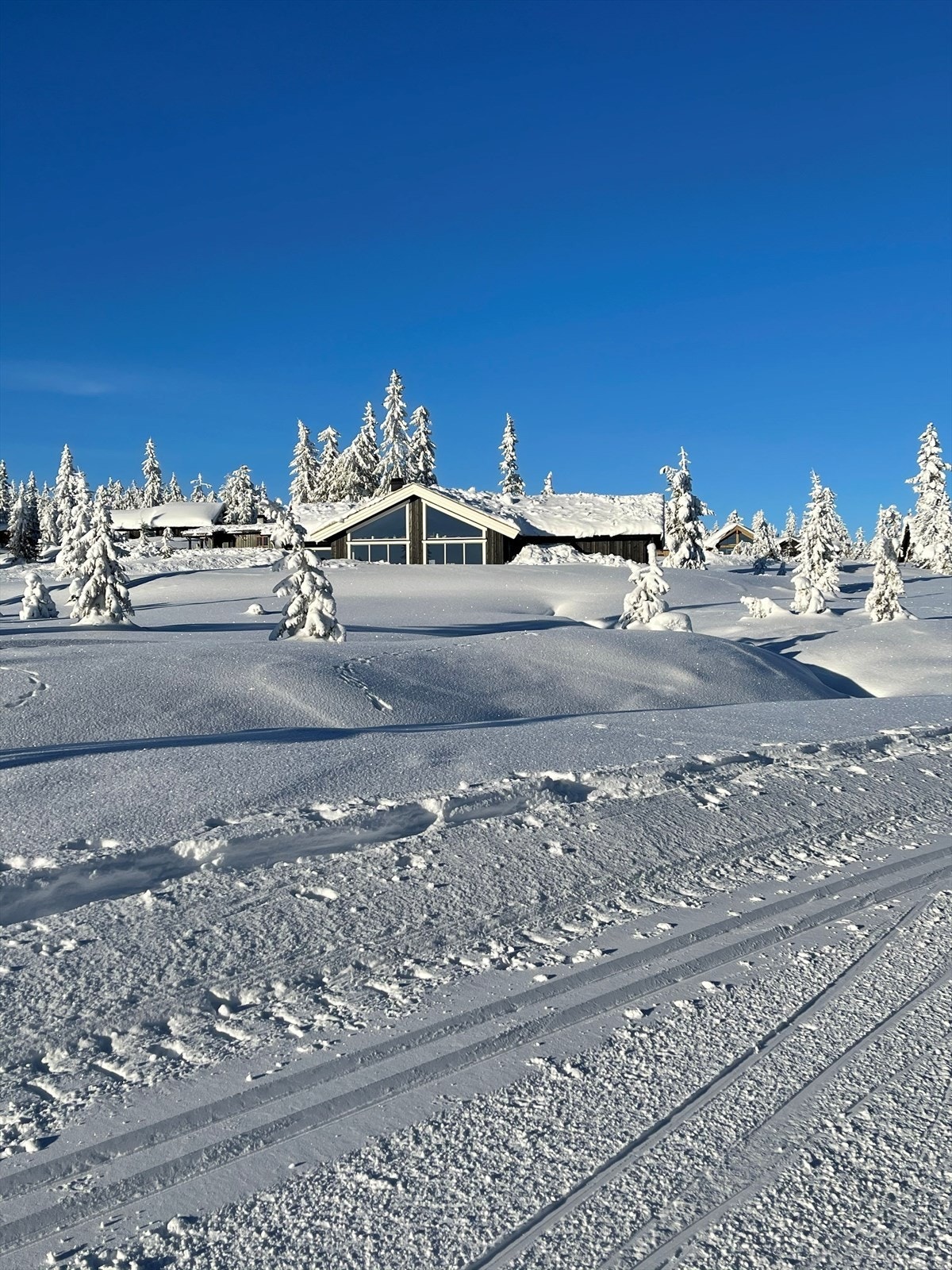 Nærhet til hovedløypa. Galleribilde