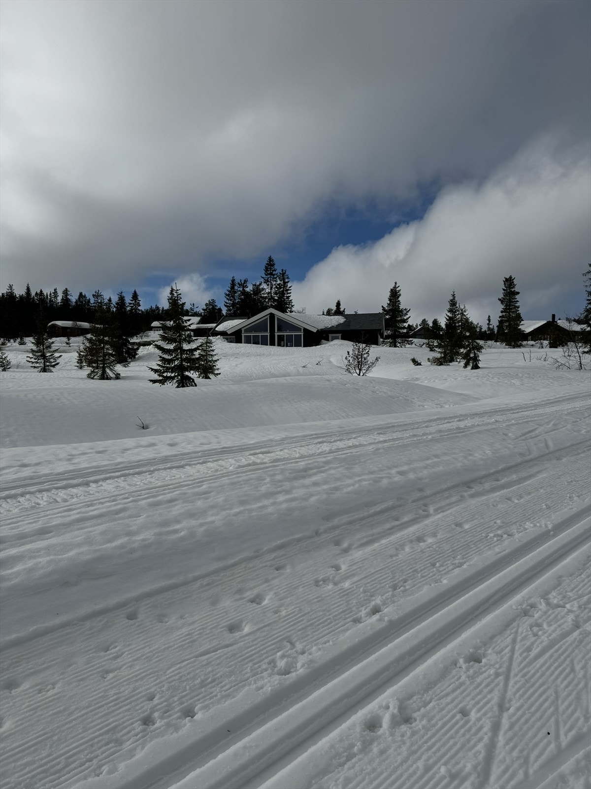 Nyoppkjørte skiløyper rett utenfor døren - sett på skiene og gå rett ut i eventyret. Galleribilde