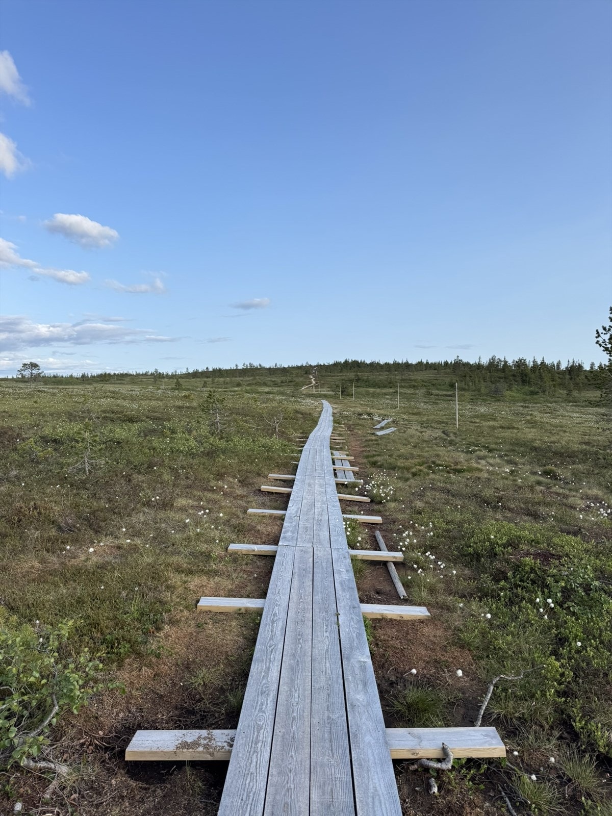 Lett tilgjengelige sommerstier for hele familien, enten du går til fots eller på sykkel. Galleribilde
