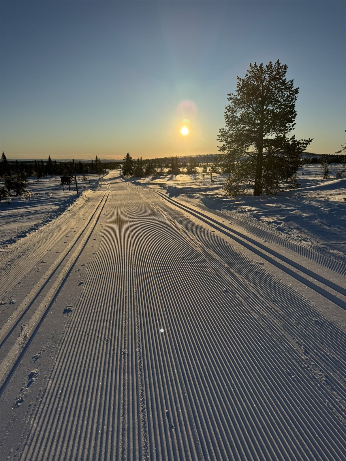 Magiske solnedganger over Budorfjellet- opplev roen og stillheten. Galleribilde