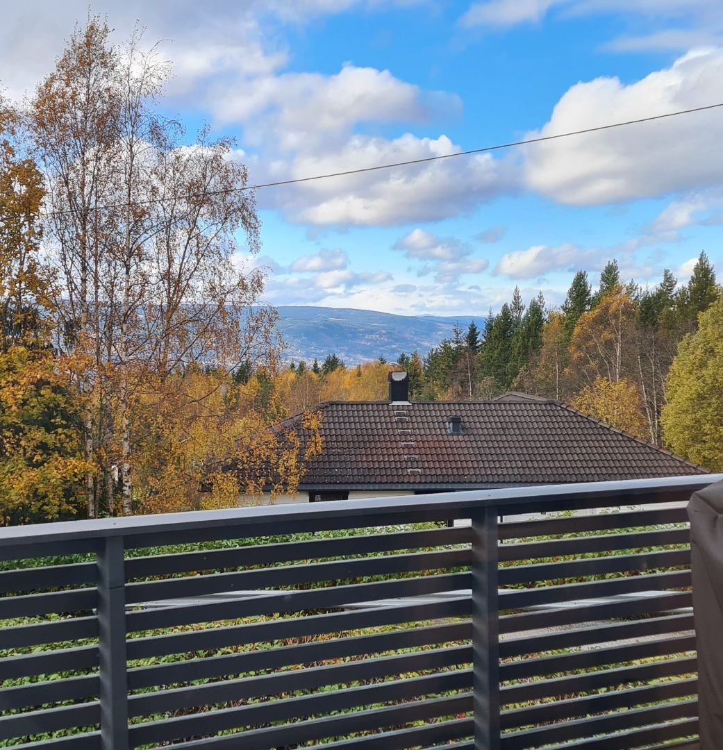 Utsiktsbilde Galleribilde