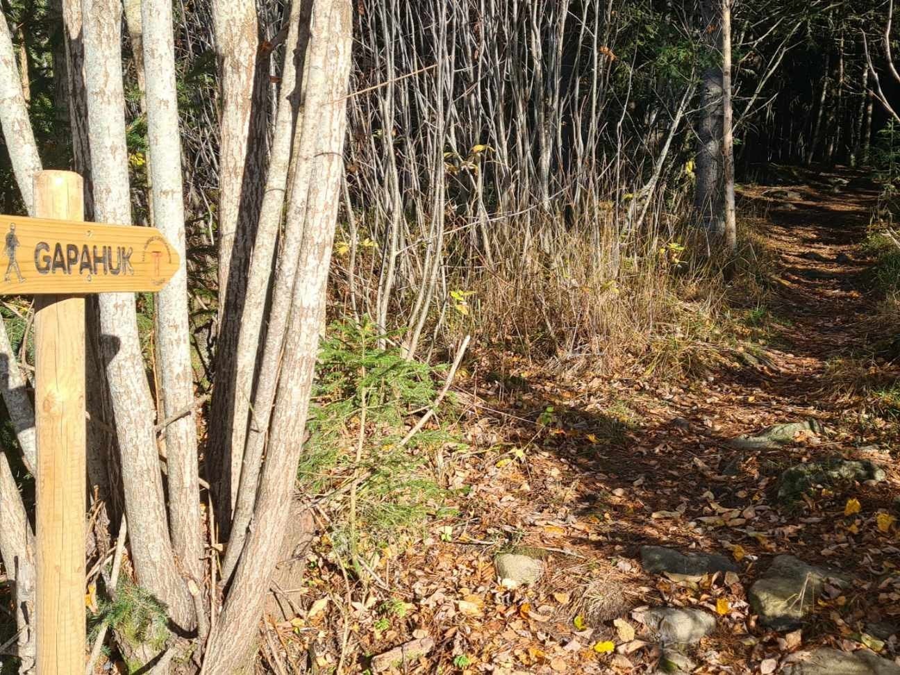 Fine turstier rett i nærheten og et fint utgangspunkt for korte eller lange turer. Galleribilde