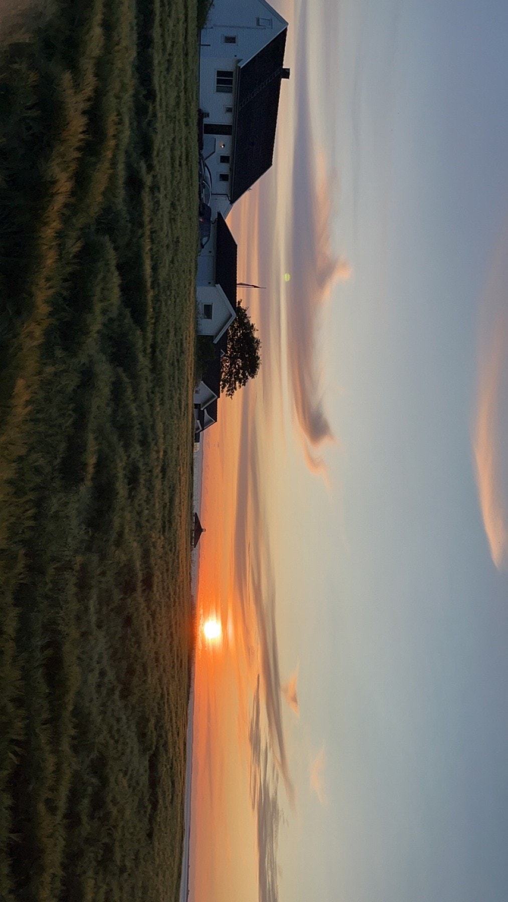 Selgers egne bilder Galleribilde