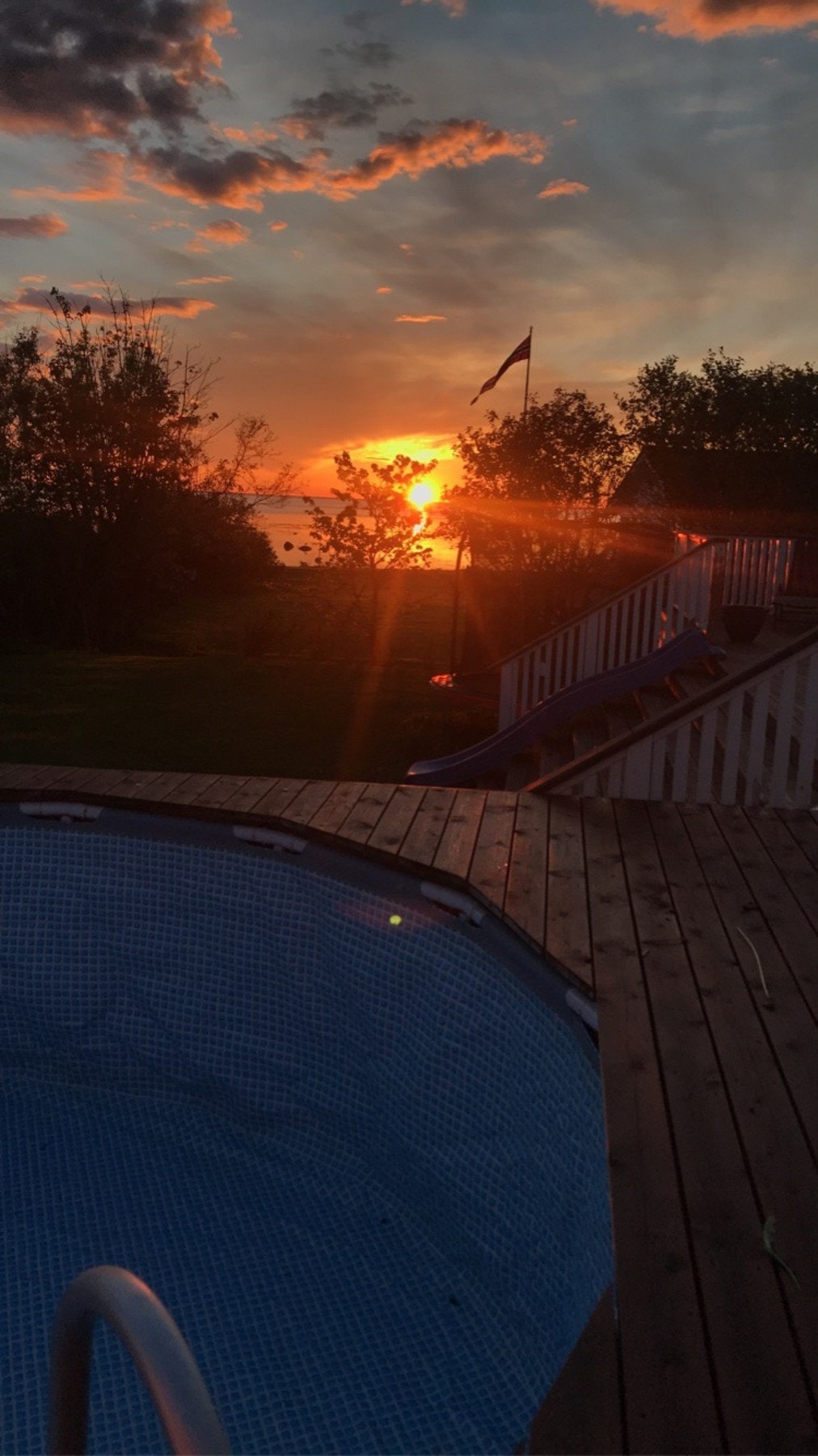 Selgers egne bilder Galleribilde