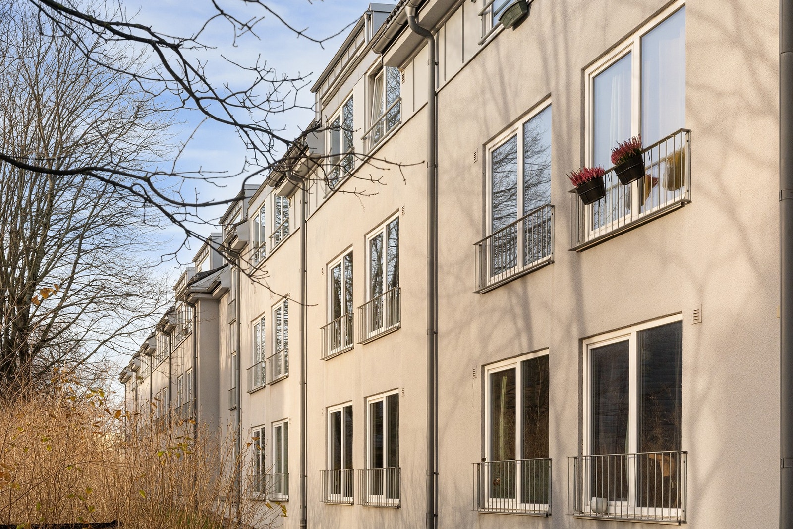 Fasade. Galleribilde