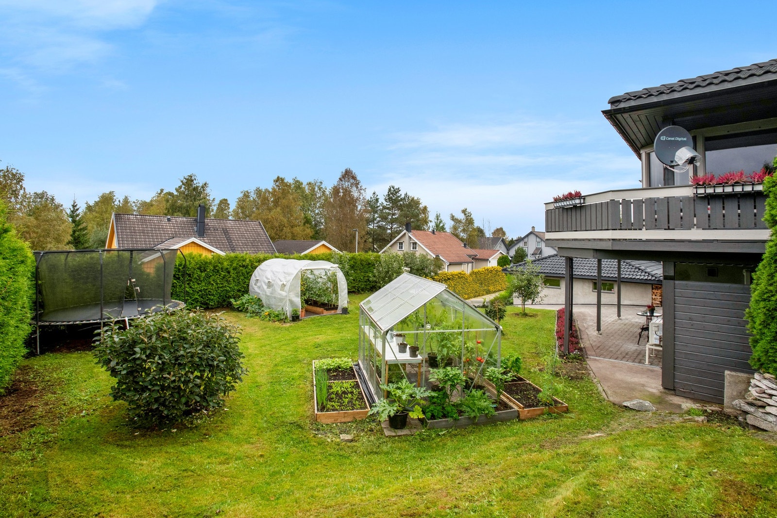 Vakker stor solrik hage, fristed for familie og kjæledyr Galleribilde