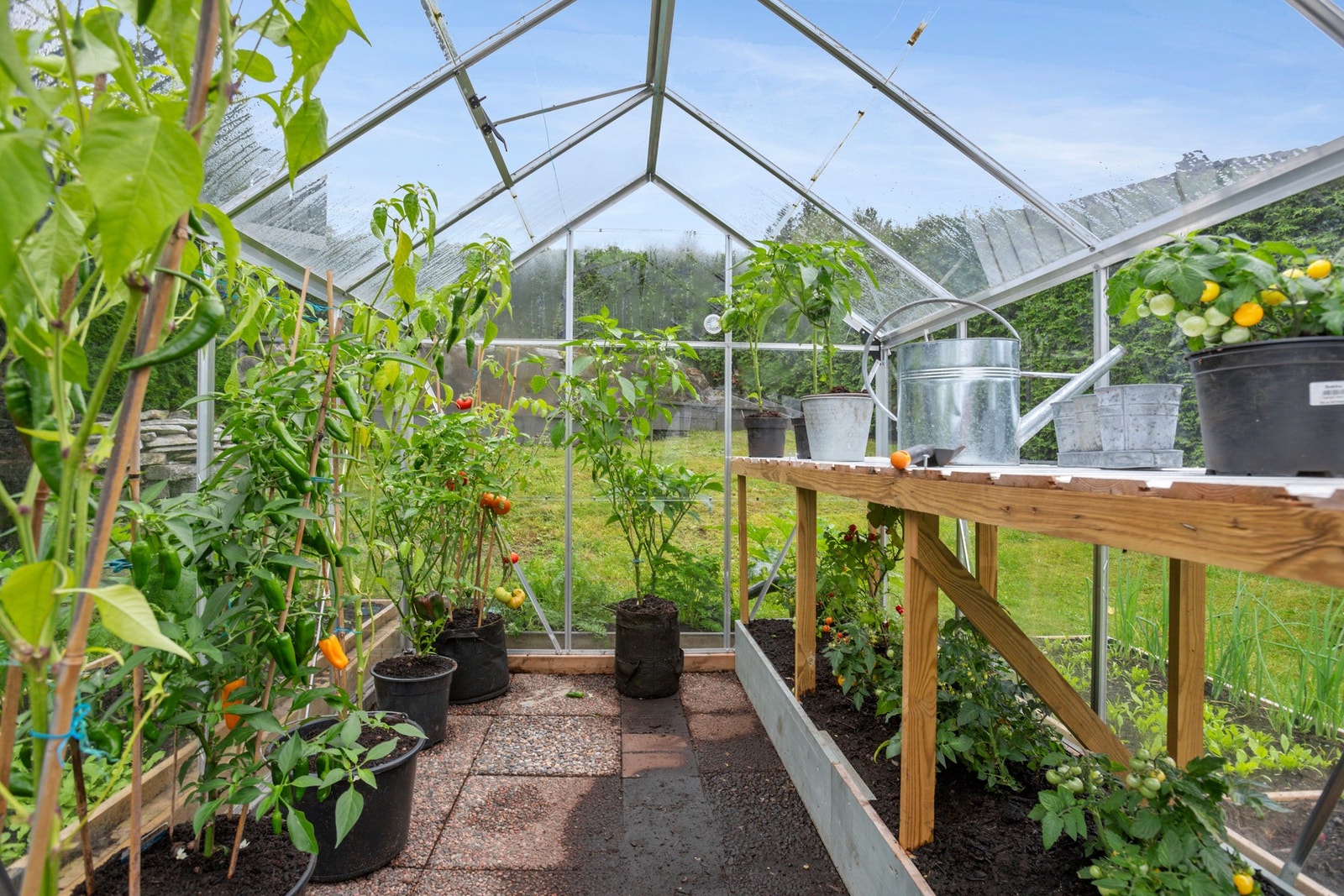 Perfekt for deg som har grønne fingre Galleribilde