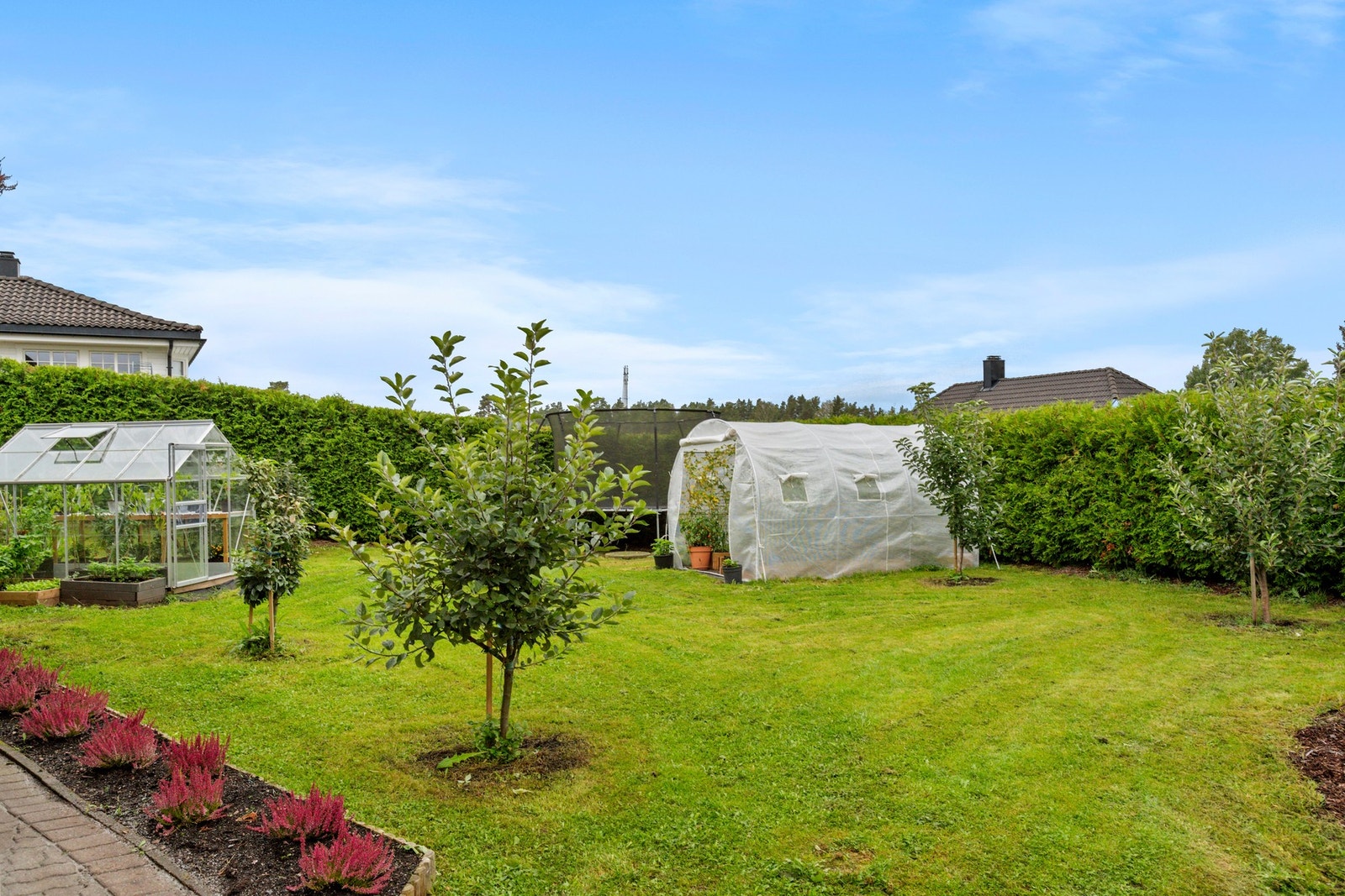 Bildene tatt på sensommeren. Galleribilde