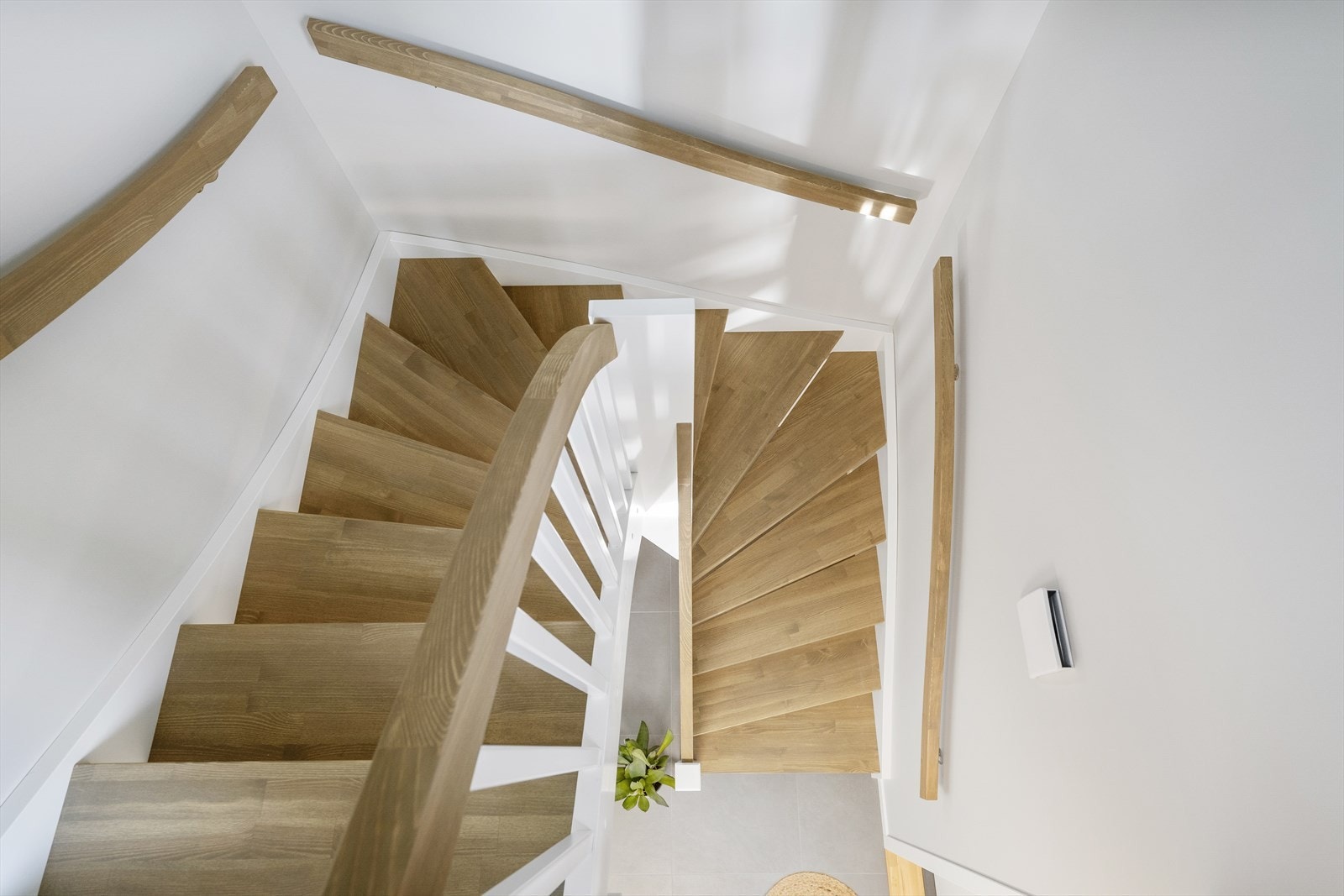 Trapperom. Galleribilde