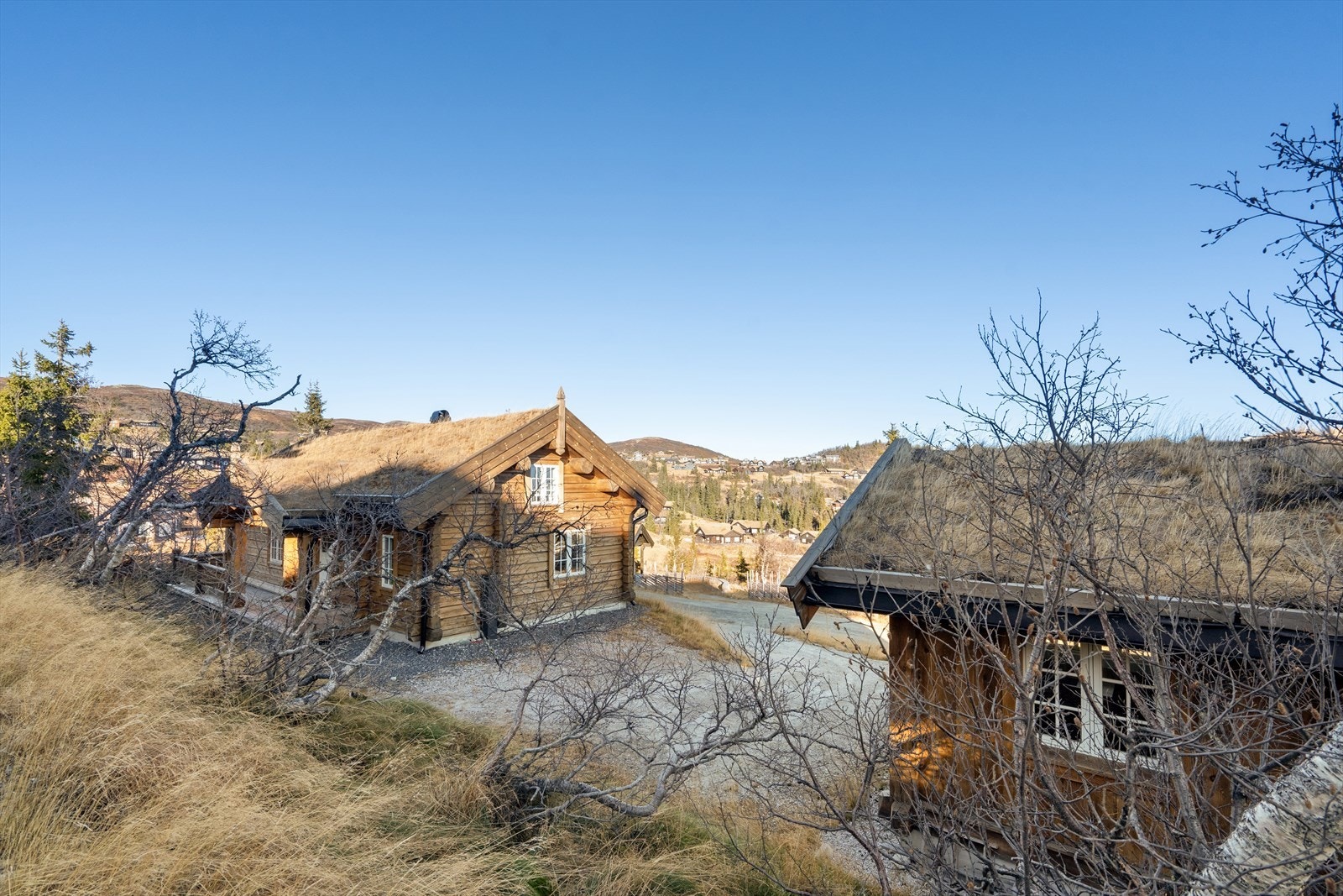 Flott idyllisk fjellterreng med solrik beliggenhet og nydelig utsikt. Galleribilde