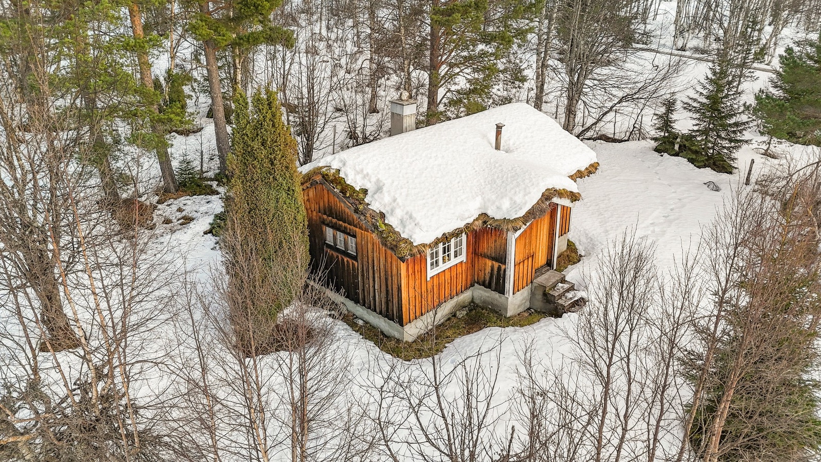 Velkommen til visning! Galleribilde