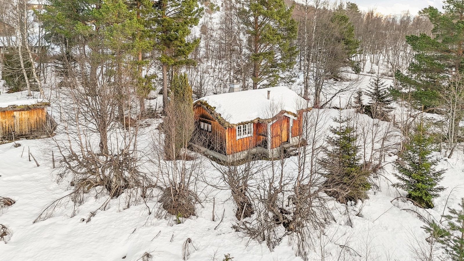 Hytten har tilbaketrukken beliggenhet fra veien, som i kombinasjon med romslig tomt gir svært rolige omgivelser Galleribilde