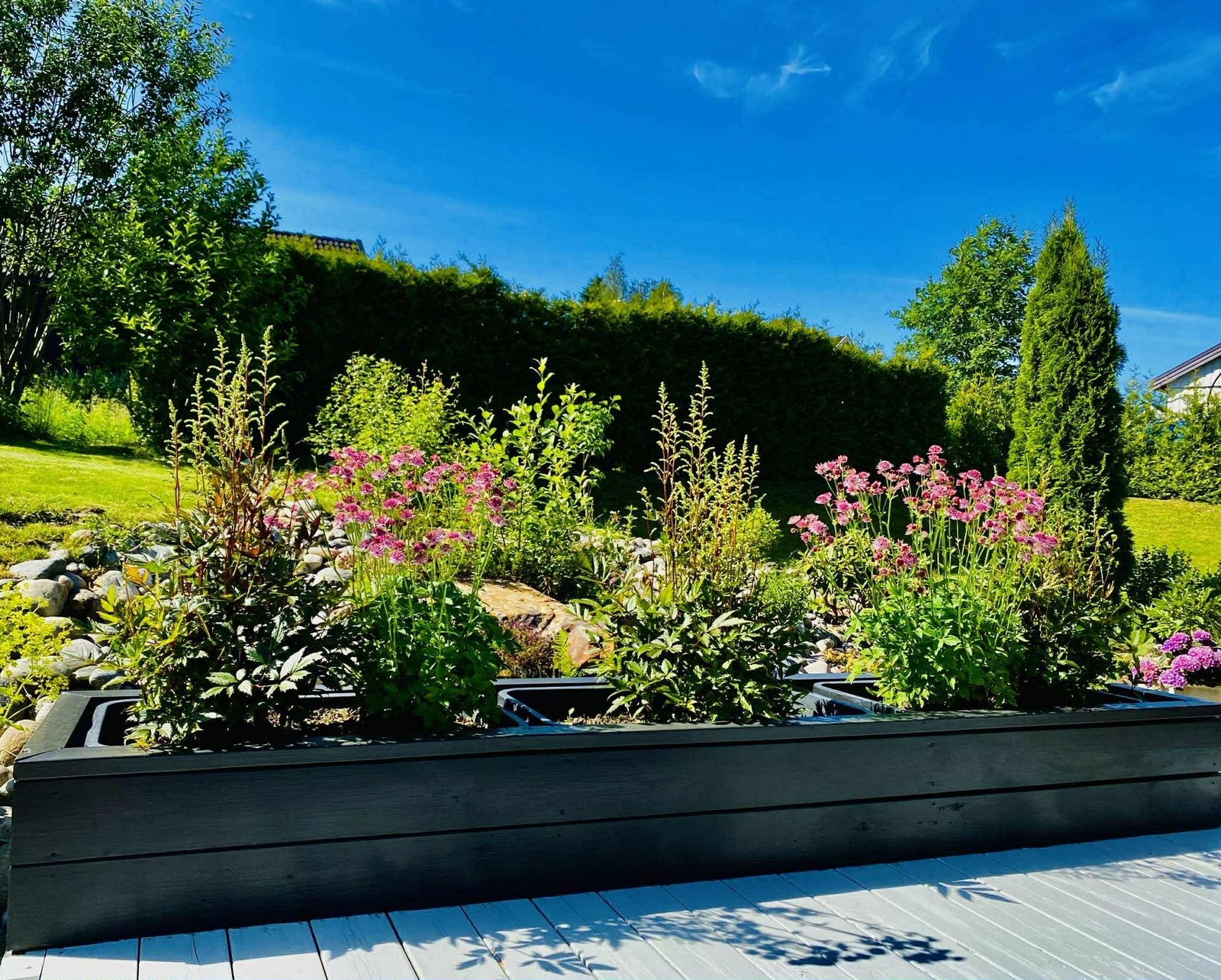 Selgers bilde. Galleribilde