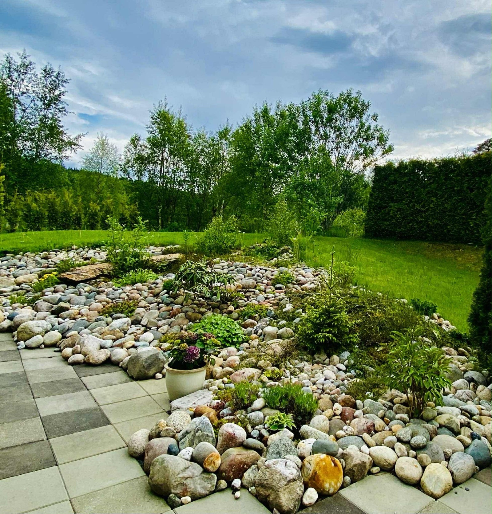 Selgers bilde. Galleribilde