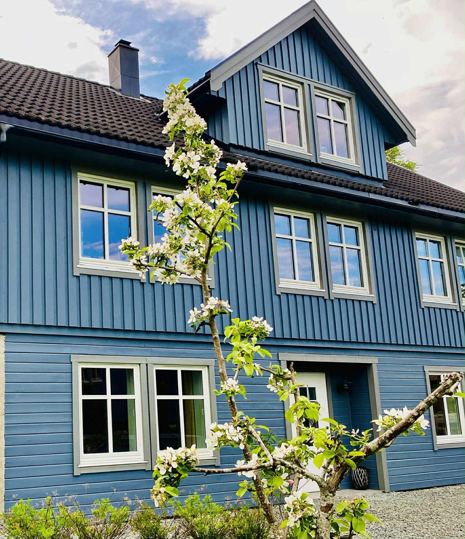 Selgers bilde. Galleribilde