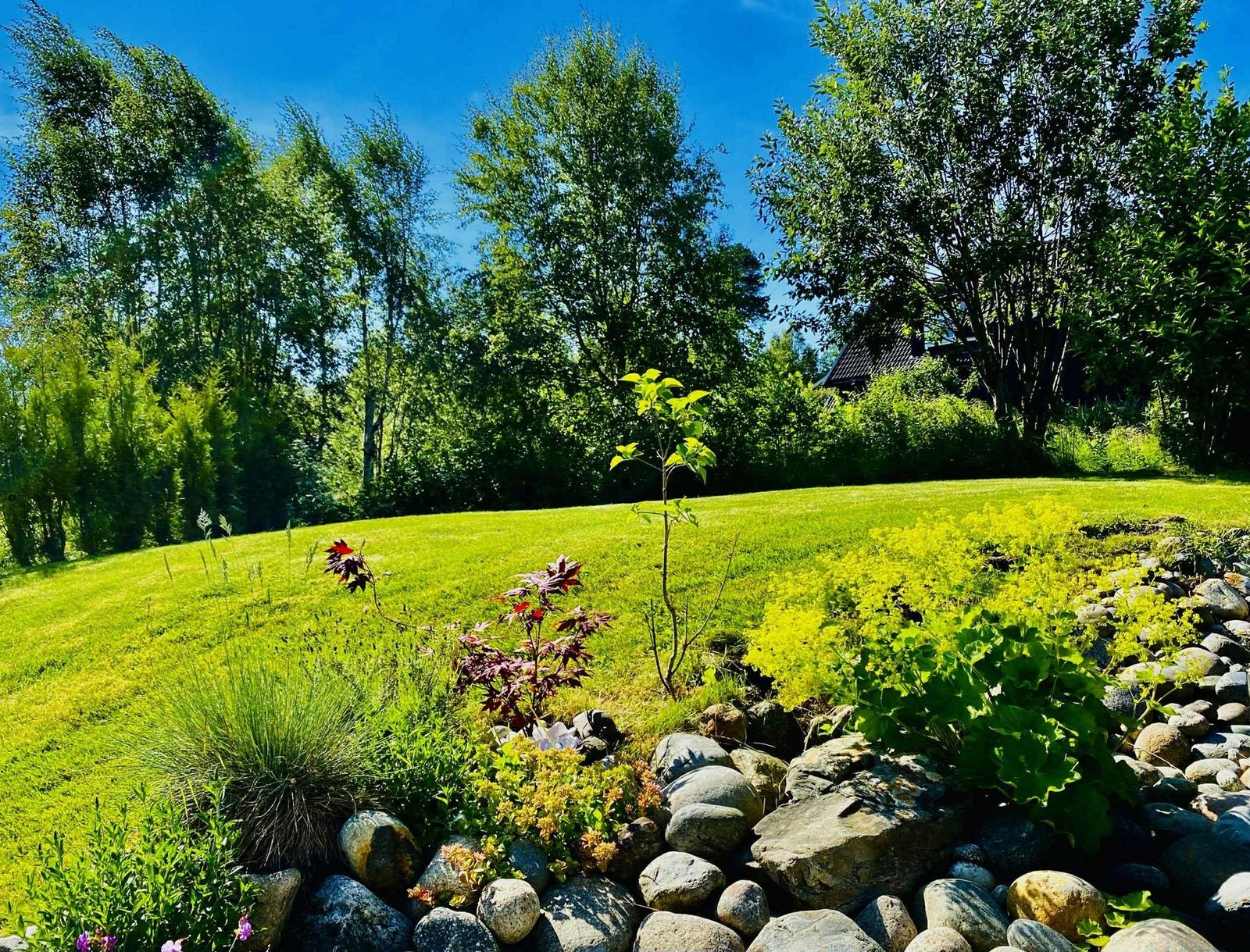 Selgers bilde. Galleribilde