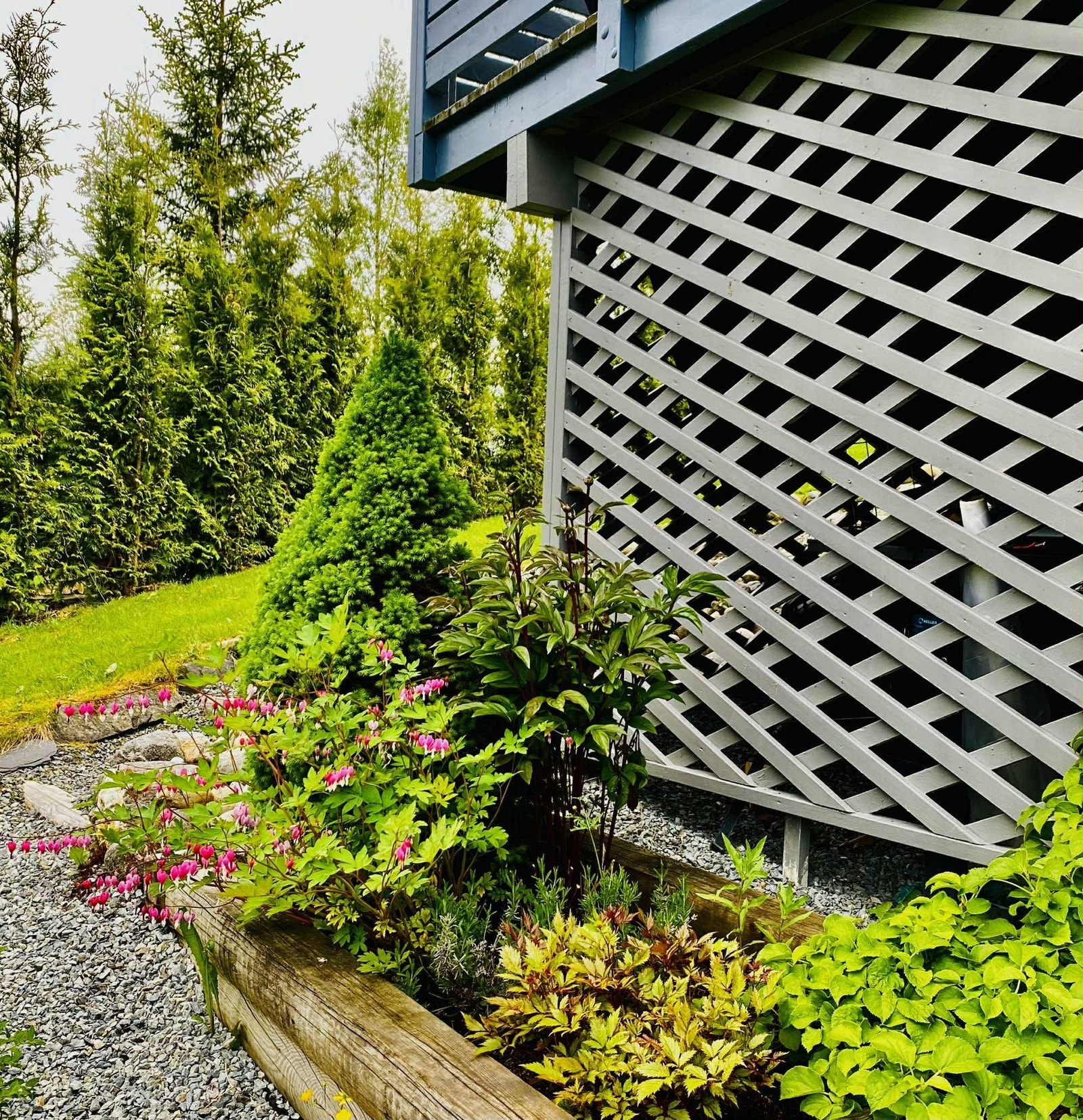 Selgers bilde. Galleribilde