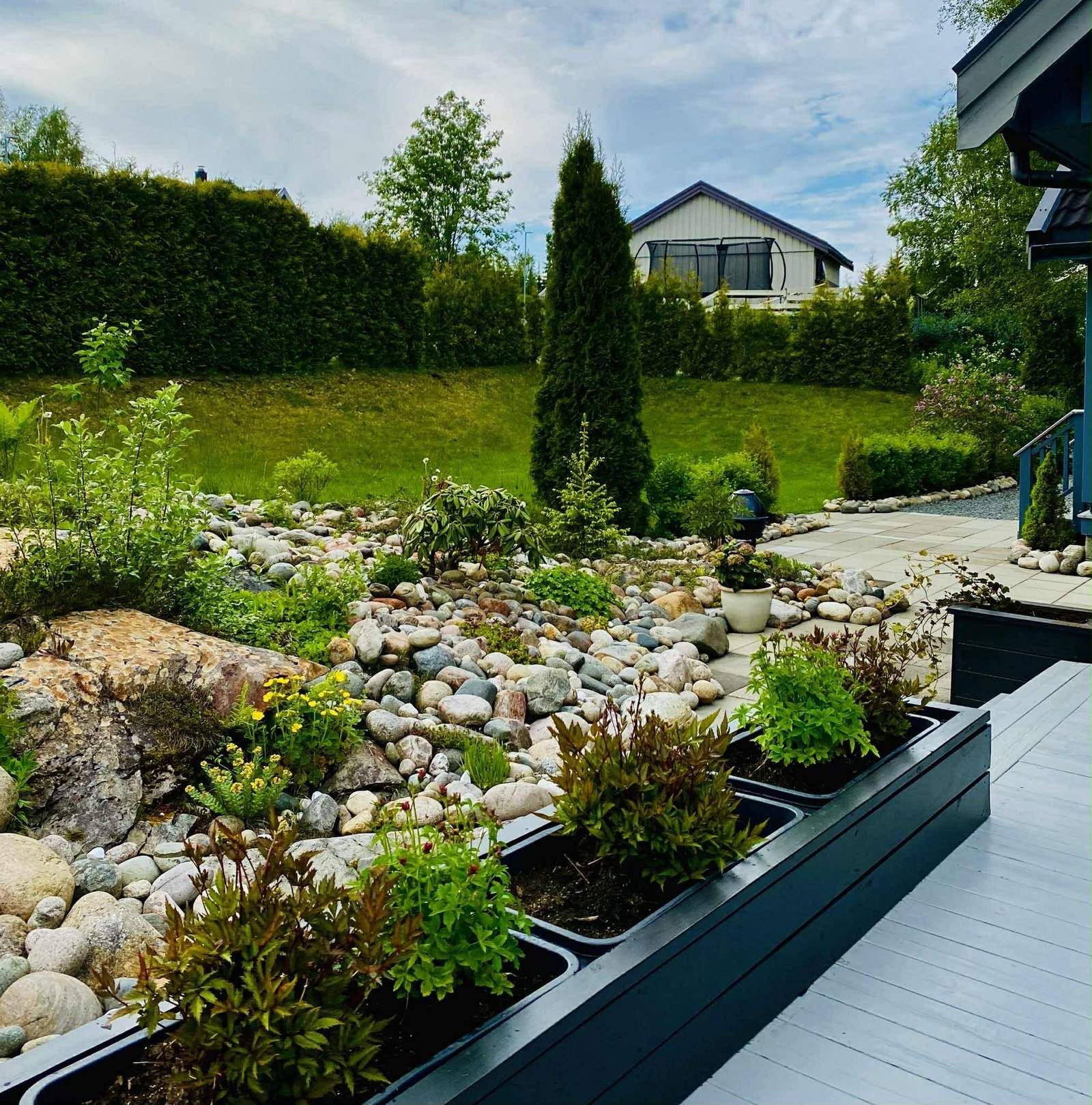 Selgers bilde. Galleribilde