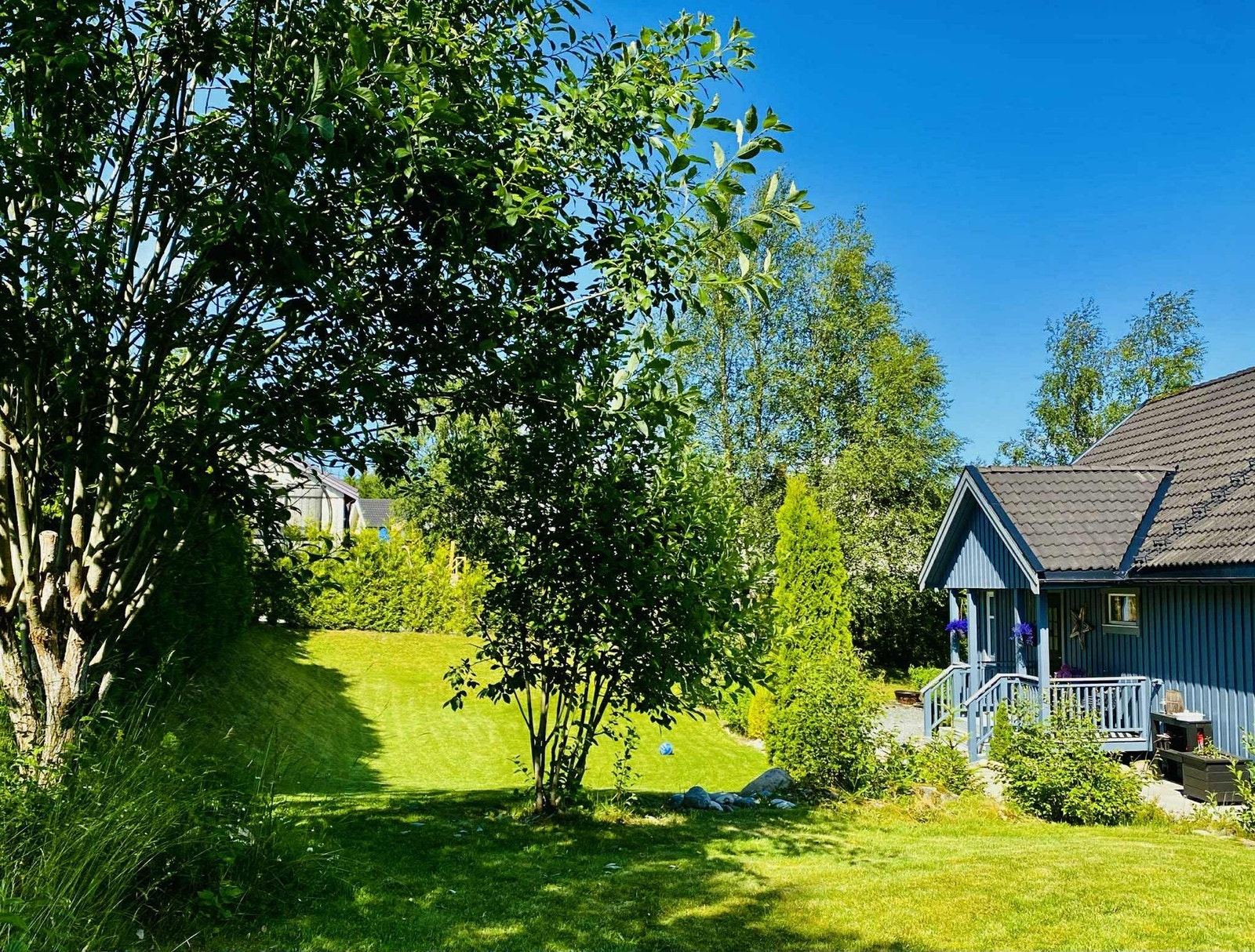 Selgers bilde. Galleribilde