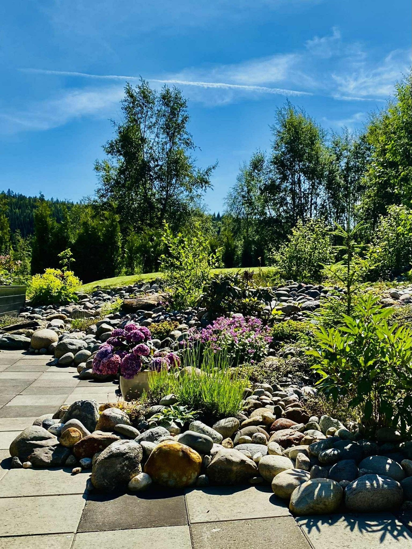 Selgers bilde. Galleribilde