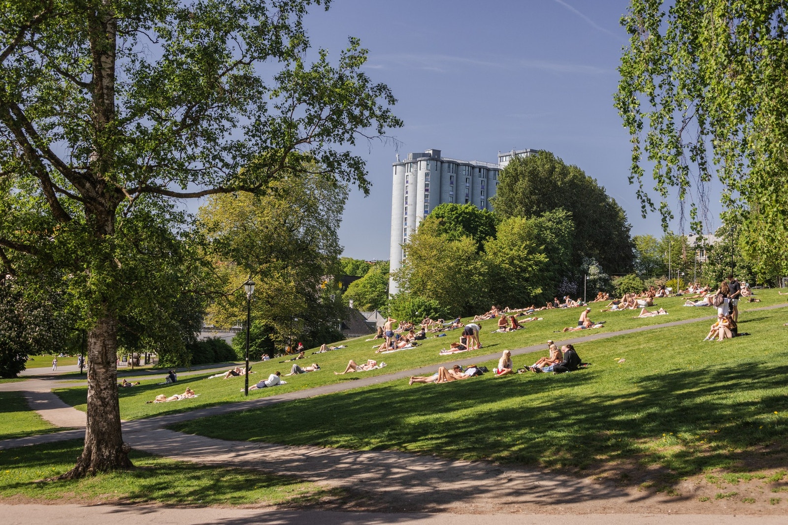 Nærområdet inneholder flere av byens flotteste parker, som Birkelunden, Sofienbergparken, Olaf Ryes Plass, Cubaparken, Grünerhagen, Mølleparken og Torshovparken. Galleribilde