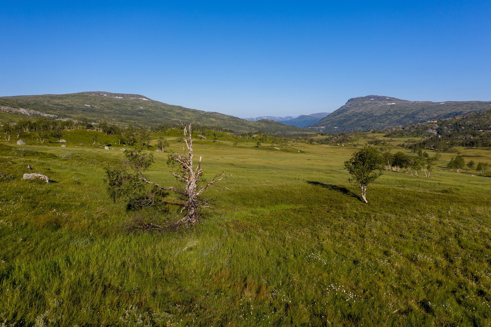 Sommeren på fjellet kan være rent magiske Galleribilde