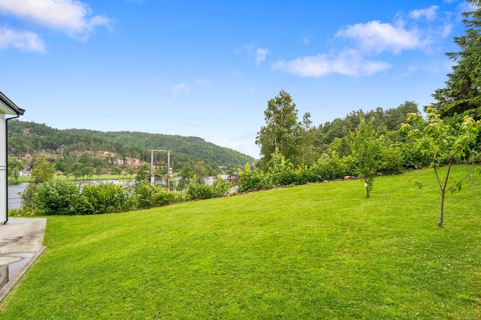 En trivelig hage med plen, epletrær, busker og trær. Galleribilde