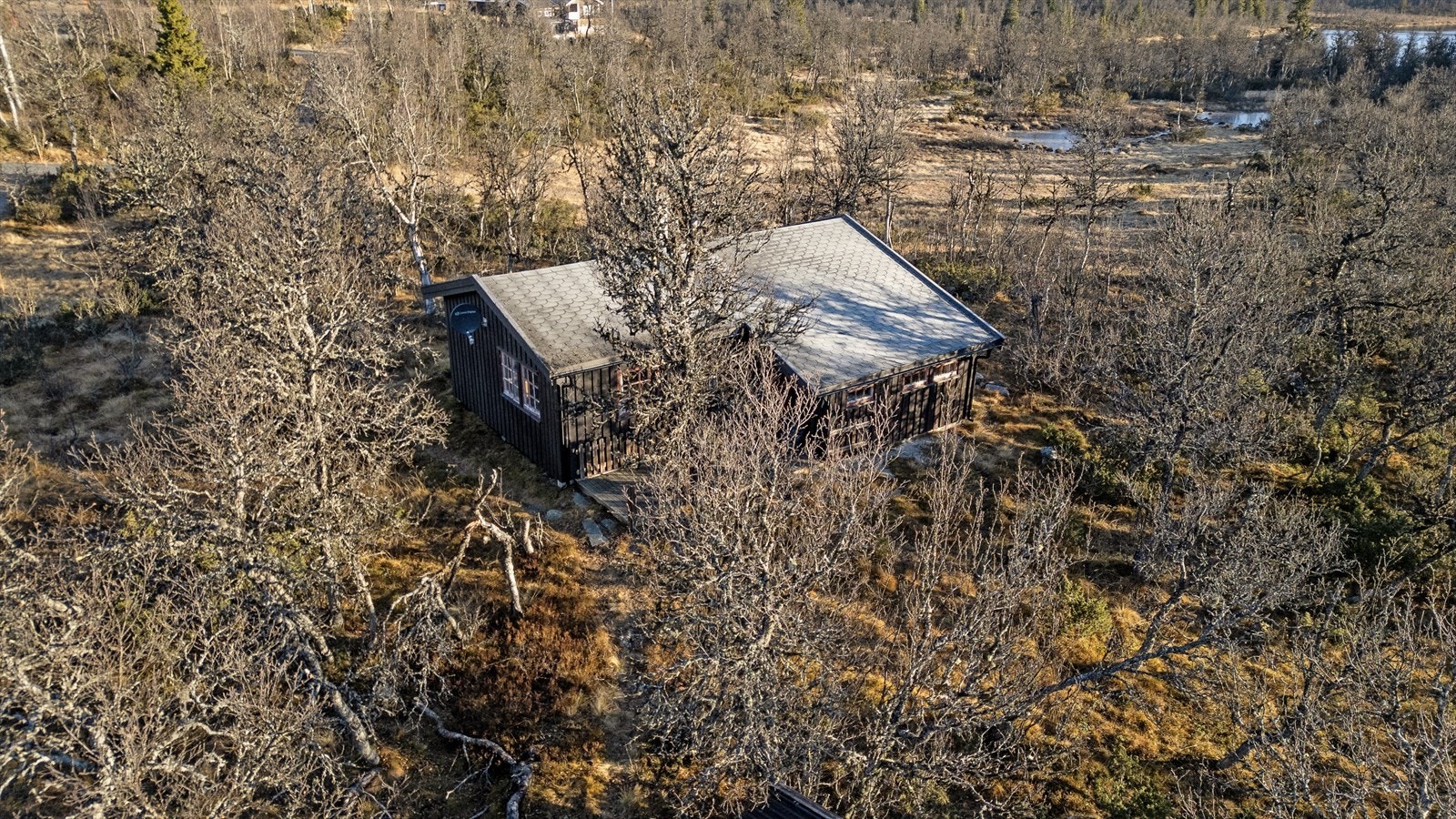 Sti inn til hytta. Galleribilde