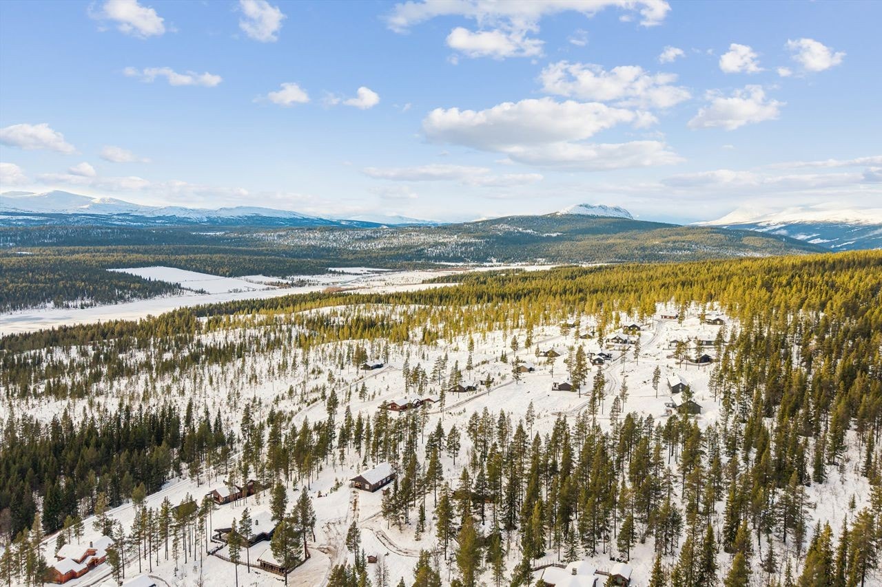 Hyttefeltet er veletablert med god infrastruktur, samtidig som det gir en følelse av privatliv. Galleribilde