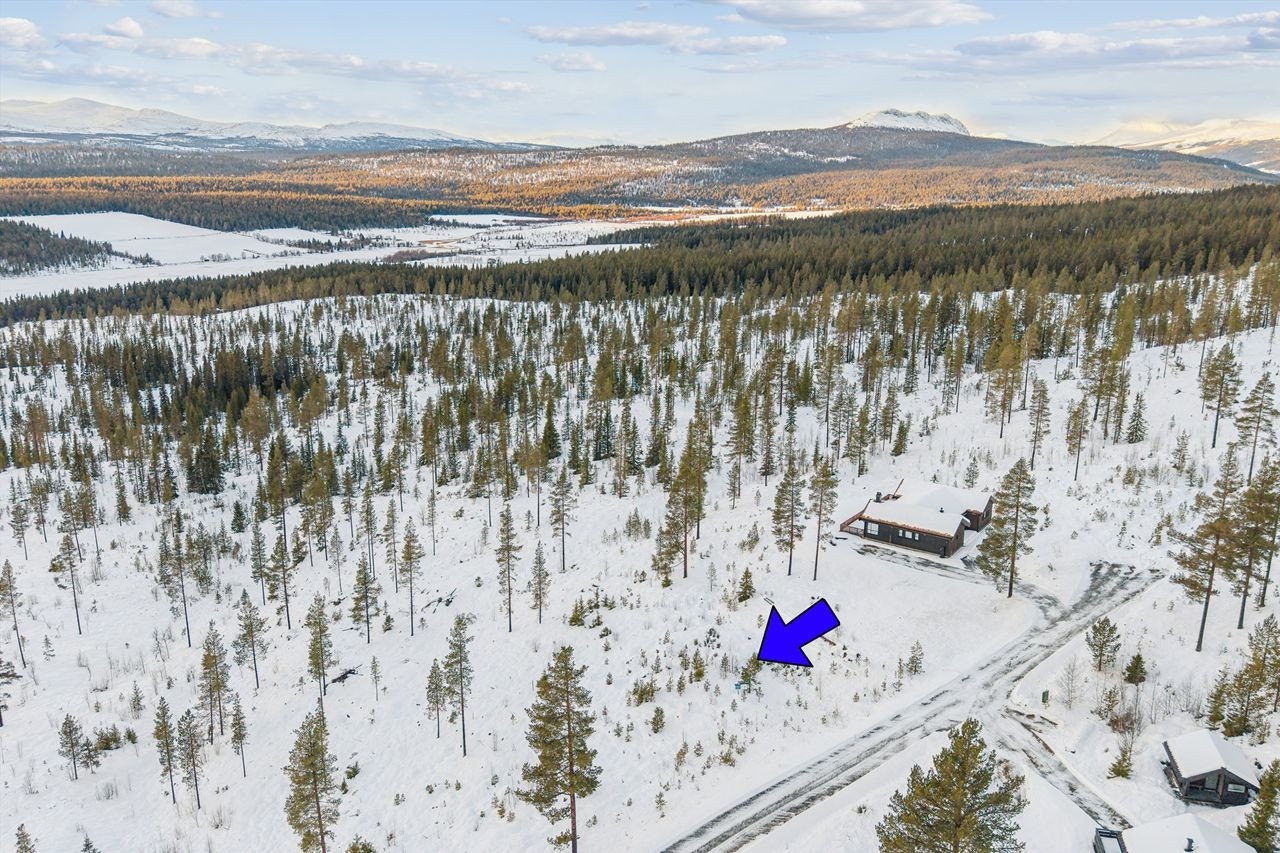 Velkommen til Harestubben 8! Galleribilde