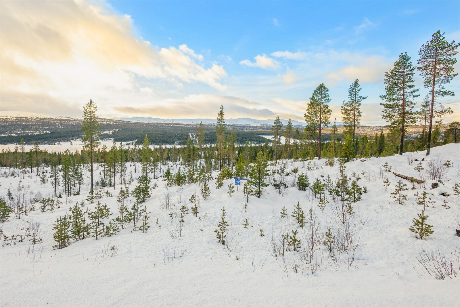 Tomten er omgitt av naturområder som gir gode muligheter for friluftsliv. Galleribilde