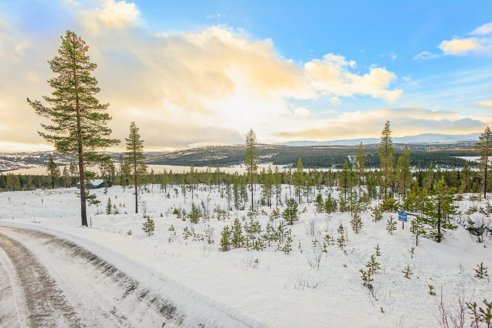 Utsikten strekker seg milevis over skog og fjell. Galleribilde